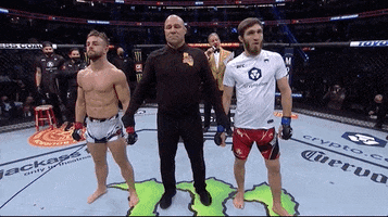 Sport Win GIF by UFC