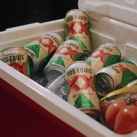 Dos Equis Beer GIF by Dos Equis Gifs to the World