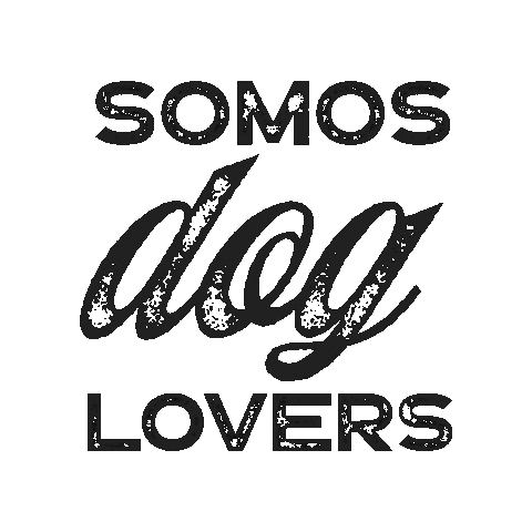 cervezaodissea Sticker