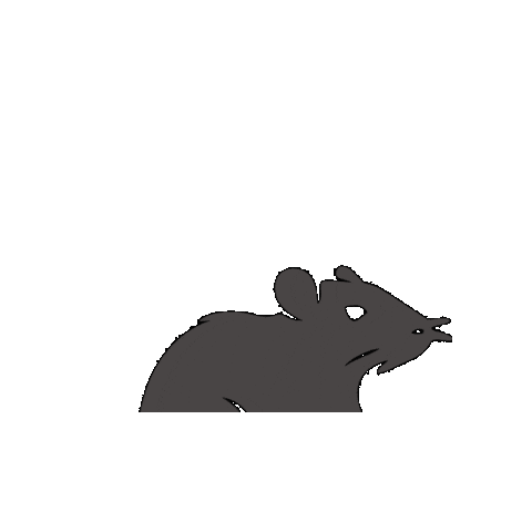 Street Art Graffiti Sticker by XIMBO