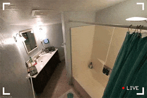 bathroom perv GIF