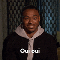France Yes GIF by The Bachelorette