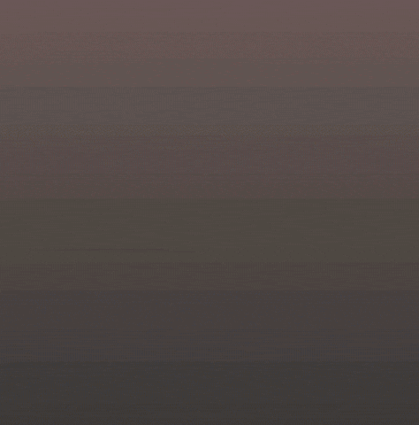 Stan Twitter Giggling GIF