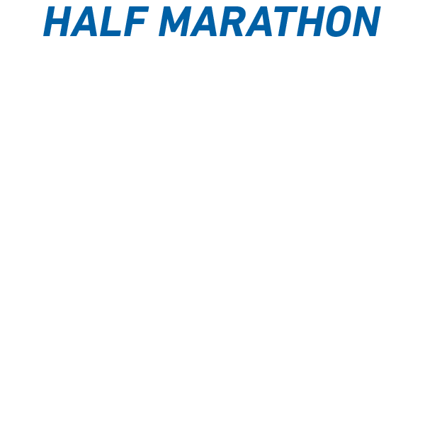 Vedanta Delhi Half Marathon Sticker