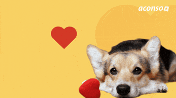 Barking Human Resources GIF by aconso AG