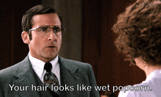 Steve Carell Trailer GIF by Anchorman Movie