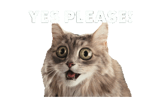 Cat Coffee Sticker by Nestle_kr