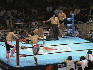 Wwe GIF