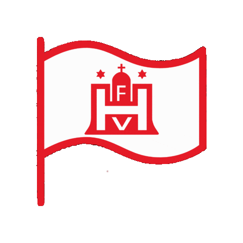 Hamburg Hfv Sticker by hamburger_fussball_verband