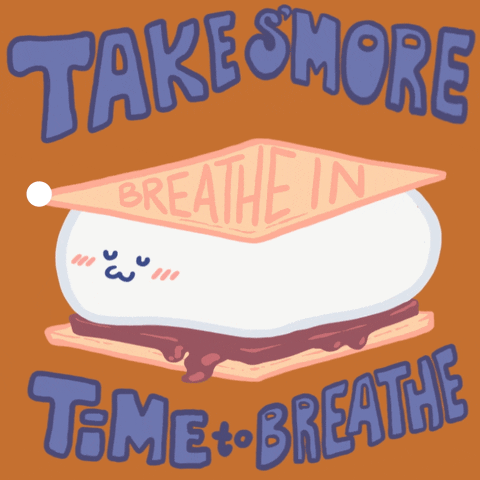 Digital art gif. Animation of a cartoon s'more with a happy face, the marshmallow inflating and deflating as the s'more breathes. On the top graham cracker, text reads, "Breathe in, hold, breathe out." Text, "Take s'more time to breathe," all against an orange background.