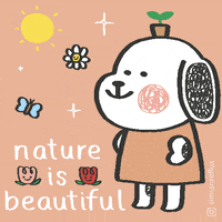 Beautiful-nature GIFs - Get the best GIF on GIPHY
