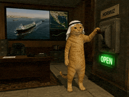 Oil GIF