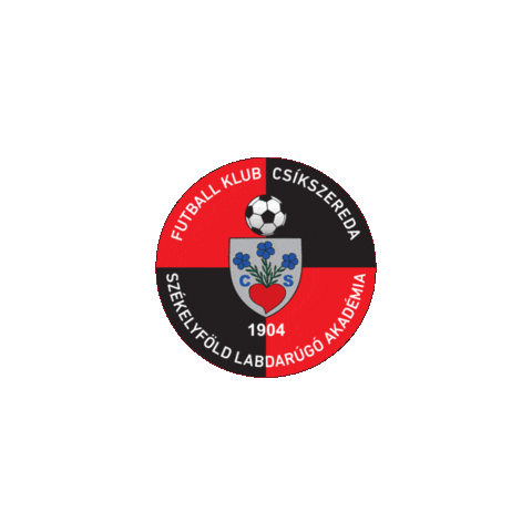 Liga 1 Sticker by Superliga Romania