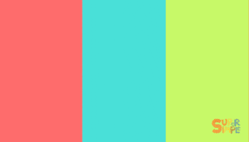 Farm Animals Chicken GIF by Super Simple