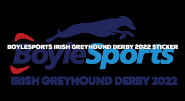 BoyleSports dogs greyhound greyhounds boylesports GIF