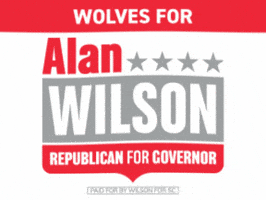 South Carolina Football GIF by Team Wilson