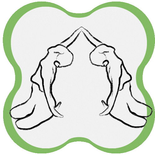 Pilates Mindbody GIF by eloessi