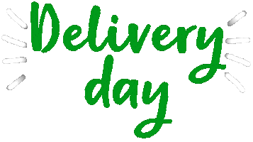 Delivery Day Sticker by 5N2