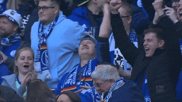 Football Yes GIF by FC Schalke 04