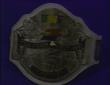 Wrestling GIF