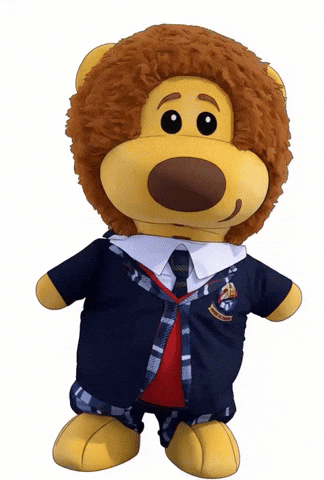 Surprised GIF by colegioroth