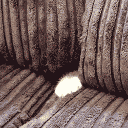 giphy.gif?cid=82a1493bmjirsnn8s52f5bfuml43k5haj2xoz3ytcy9busrh&rid=giphy.gif&ct=g