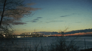 Toronto GIF