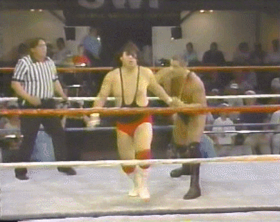 Wwf GIF