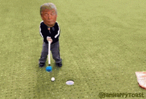 Donald Trump GIF