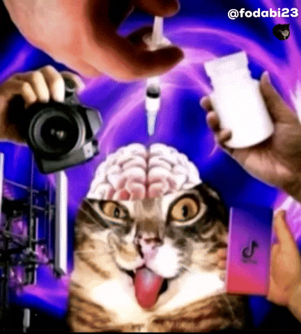Cat Meme Brainwashing GIF