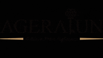 Ageratun GIF by UvenGames