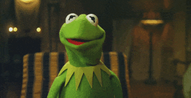 the muppets GIF