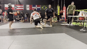 New Asgard GIF by New Asgard Martial Arts