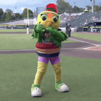 Sparkle Scuba GIF by HCSpartanburgers