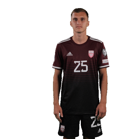 Happy Dance Sticker by Latvijas Futbola Federācija