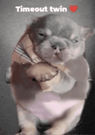 Pibble GIF