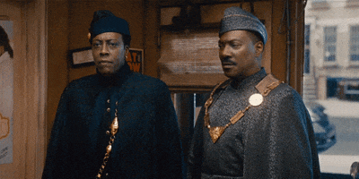Coming To America GIF by Amazon Prime Video