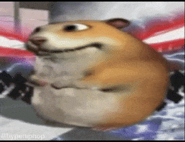 Meme GIF