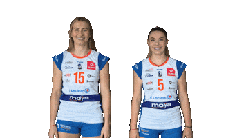 Sport Team Sticker by Radomka