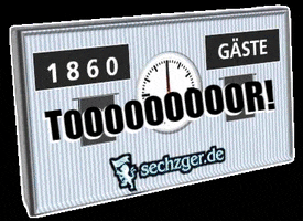 Tsv 1860 München Goal GIF by sechzgerde