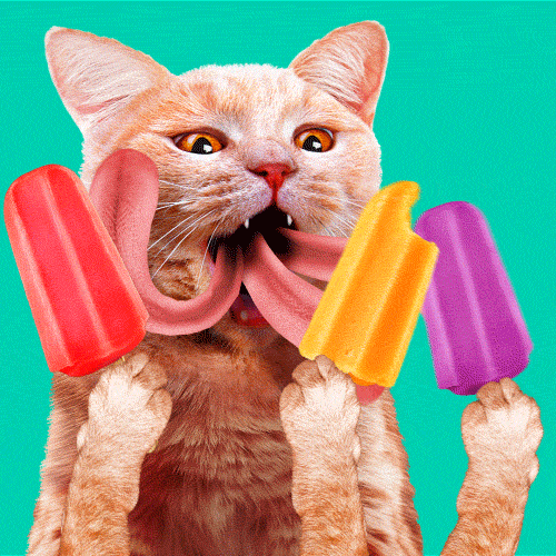 Ice Cream Lol GIF By Justin Gammon Find Share On GIPHY unveiling-the-wonders-of-icepice-discover-the-secrets-of-subzero-mastery