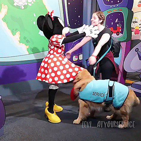 service meets GIF