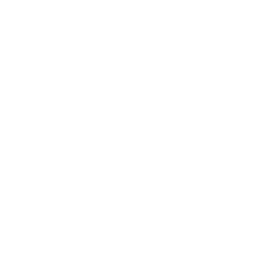 Dacia Sverige Sticker