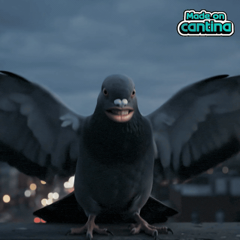 Good Morning No GIF by Cantina