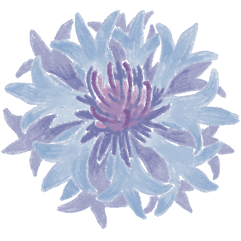 Drfelisflower Sticker by Dr.Felis