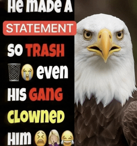 He Made A Statement GIF