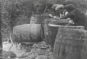 Vintage Alcohol GIF by US National Archives