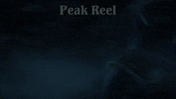 Prince Of Persia GIF
