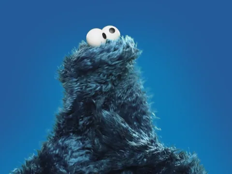 Confused What The GIF by Sesame Street