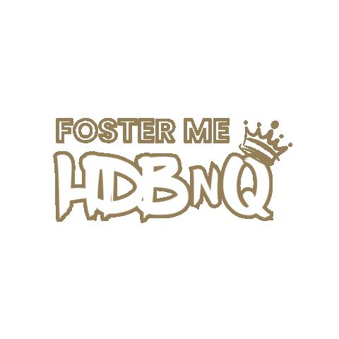 Cat Dog Sticker by HDBnQ Rescue